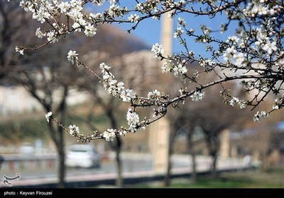 Весенняя природа Ирана - город Сенендедж