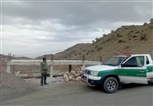 فعالیت 100 اکیپ گشت یگان حفاظت منابع طبیعی در خراسان جنوبی