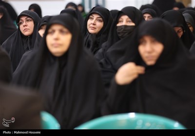 نشست جمعی از بانوان با رئیس مجلس شورای اسلامی