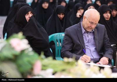 نشست جمعی از بانوان با رئیس مجلس شورای اسلامی