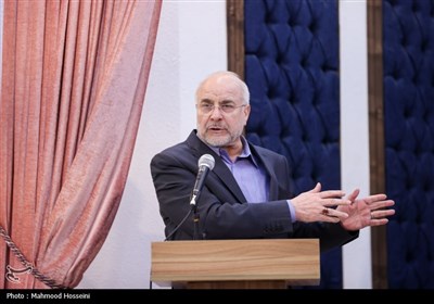 نشست جمعی از بانوان با رئیس مجلس شورای اسلامی