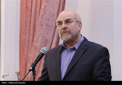 نشست جمعی از بانوان با رئیس مجلس شورای اسلامی