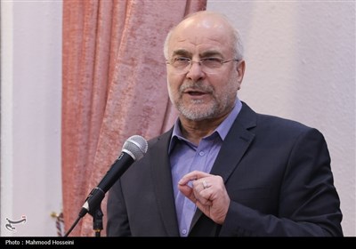 نشست جمعی از بانوان با رئیس مجلس شورای اسلامی