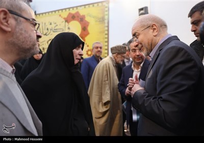نشست جمعی از بانوان با رئیس مجلس شورای اسلامی