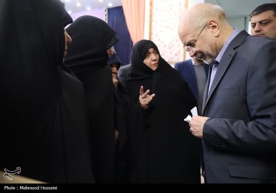 نشست جمعی از بانوان با رئیس مجلس شورای اسلامی
