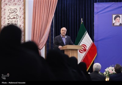 نشست جمعی از بانوان با رئیس مجلس شورای اسلامی