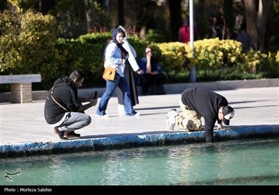 مسافران نوروزی در کاخ چهلستون اصفهان