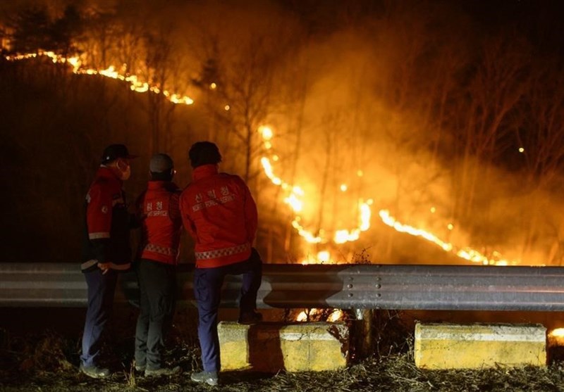 South Korea Wildfires &apos;Largest on Record&apos;: Disaster Chief