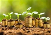 یک همت اعتبار به صندوق کشاورزی خراسان شمالی تخصیص مییابد