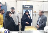 مجموعه گردشگری علیصدر تحت رصد تعزیرات همدان