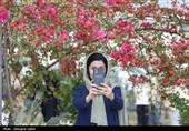 جولان تورهای سیاه گردشگری