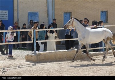 استان سمنان در نوروز 1404