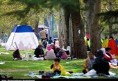 آمل مقصد سفرهای پایانی نوروز/جنگلی با درختان چندین هزار ساله