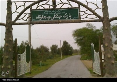 پارک‌های جنگلی استان بوشهر