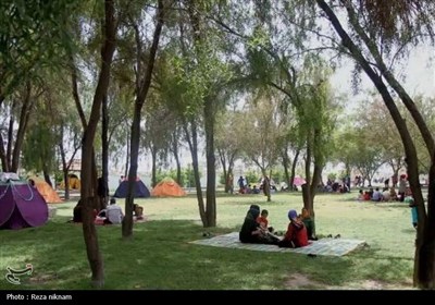 پارک‌های جنگلی استان بوشهر