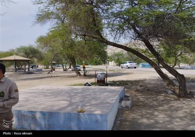 پارک‌های جنگلی استان بوشهر