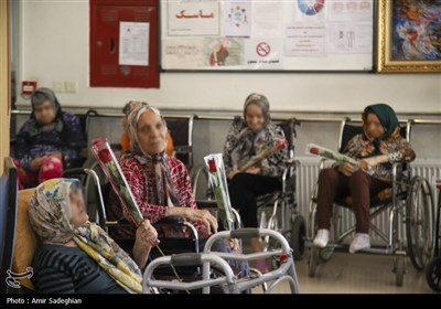 بازدید استاندار فارس از سرای سالمندان شیراز در روز طبیعت
