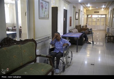 بازدید استاندار فارس از سرای سالمندان شیراز در روز طبیعت