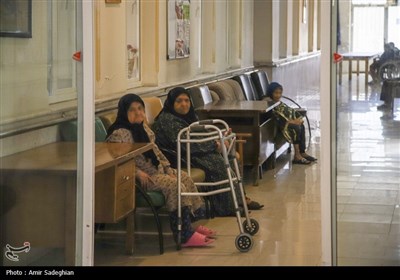 بازدید استاندار فارس از سرای سالمندان شیراز در روز طبیعت