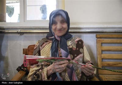 سالمندان،حوزه،سالمندي،مازندران،نگهداري،مراكز،استان،توسعه،بري ...