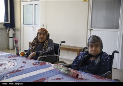 بازدید استاندار فارس از سرای سالمندان شیراز در روز طبیعت