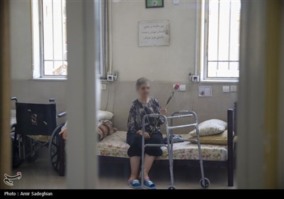 بازدید استاندار فارس از سرای سالمندان شیراز در روز طبیعت