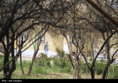 بازدید استاندار فارس از سرای سالمندان شیراز در روز طبیعت