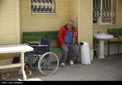 بازدید استاندار فارس از سرای سالمندان شیراز در روز طبیعت