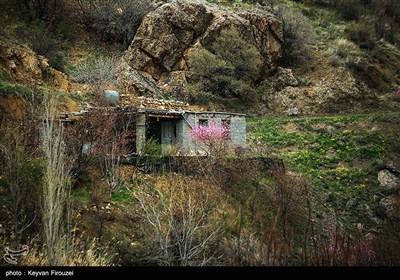 بهار دل انگیز کردستان