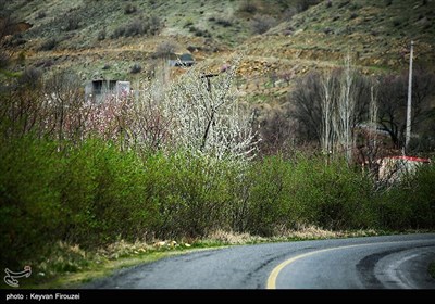 بهار دل انگیز کردستان