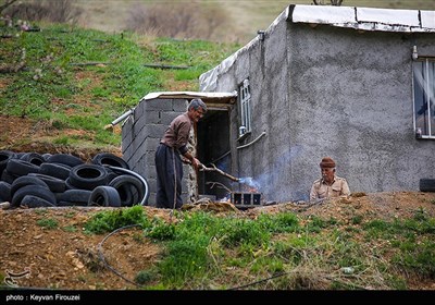 بهار دل انگیز کردستان