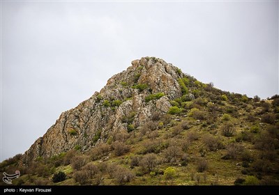 بهار دل انگیز کردستان