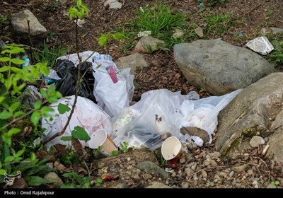 زباله،آمل،پسماند،مجلس،مازندران،مديريت،زيست،عمارت،شهرستان،رسيدگي