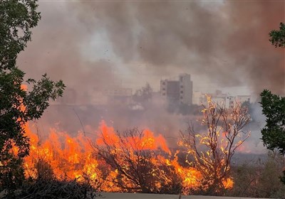 حريق،طبيعي،استان،منابع،كرمانشاه،آتش،زمينه،اطفاي،رستمي،مراتع، ...