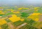 کشف سریع ساختوسازهای غیرمجاز با پایش ماهوارهای هوشمند