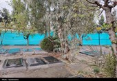 میراث فرهنگی به ماجرای قطعه 252 بهشت زهرا ورود کرد