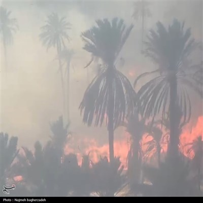 آتش سوزی باغات شمال هرمزگان