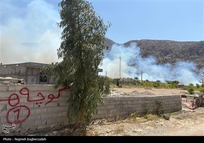 آتش سوزی باغات شمال هرمزگان