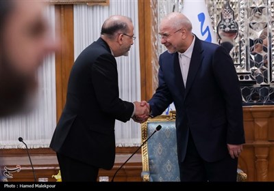 دیدار نوروزی جمعی از مسئولان نظام با رئیس مجلس شورای اسلامی