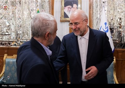 دیدار نوروزی جمعی از مسئولان نظام با رئیس مجلس شورای اسلامی
