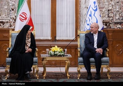 دیدار نوروزی جمعی از مسئولان نظام با رئیس مجلس شورای اسلامی