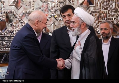 دیدار نوروزی جمعی از مسئولان نظام با رئیس مجلس شورای اسلامی