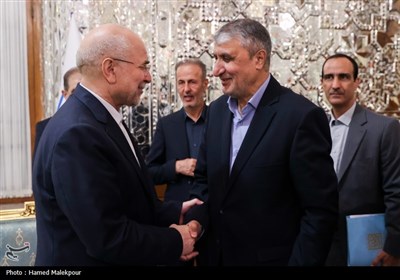 دیدار نوروزی جمعی از مسئولان نظام با رئیس مجلس شورای اسلامی