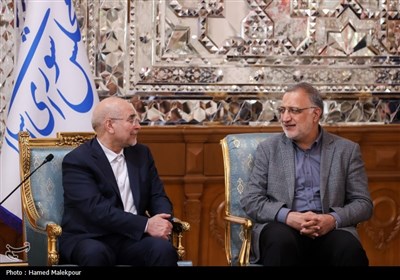 دیدار نوروزی جمعی از مسئولان نظام با رئیس مجلس شورای اسلامی