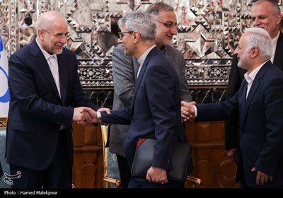 دیدار نوروزی جمعی از مسئولان نظام با رئیس مجلس شورای اسلامی