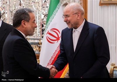 دیدار نوروزی جمعی از مسئولان نظام با رئیس مجلس شورای اسلامی