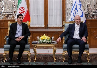 دیدار نوروزی جمعی از مسئولان نظام با رئیس مجلس شورای اسلامی