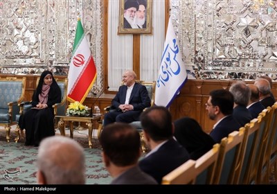 دیدار نوروزی جمعی از مسئولان نظام با رئیس مجلس شورای اسلامی