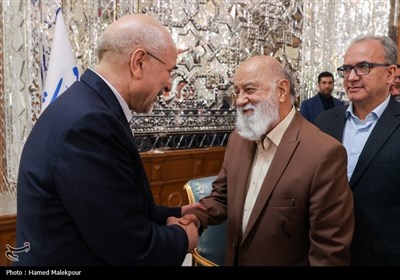 دیدار نوروزی جمعی از مسئولان نظام با رئیس مجلس شورای اسلامی