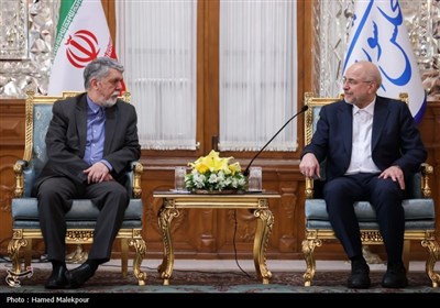 دیدار نوروزی جمعی از مسئولان نظام با رئیس مجلس شورای اسلامی